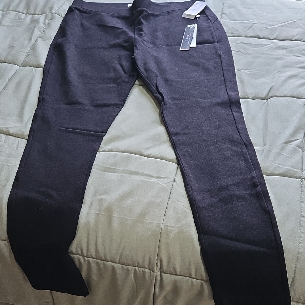 AF Studio Women's Black Leggings